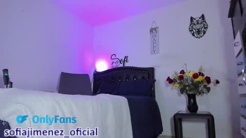 Sofia Jimenez online show from 02-17-26, 01:13
