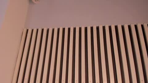 Snapshot of sofiesoft chatting on 11-11-25, 02:39 Sofie online show from 11-11-25, 02:39