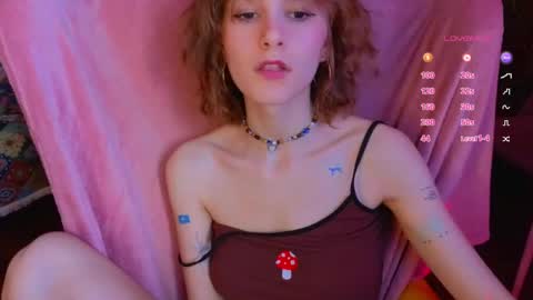 E online show from 04-17-26, 12:08