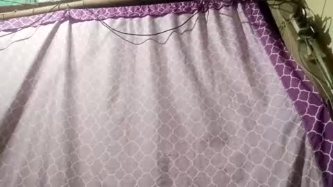 soft_bads online show from 09-11-25, 12:38