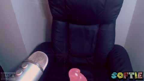 Snapshot of soft_serv chatting on 03-25-26, 06:30 Softie 3 online show from 03-25-26, 06:30