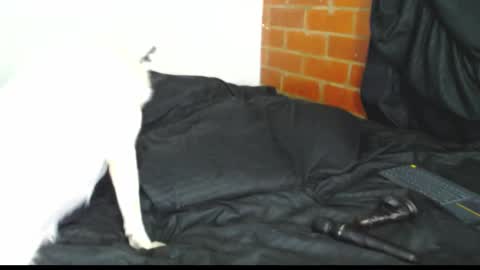 Snapshot of sofy_dep chatting on 02-21-26, 03:07 Sofy online show from 02-21-26, 03:07