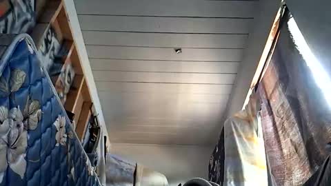 Snapshot of sohan730903 chatting on 10-01-25, 07:20 sohan730903 online show from 10-01-25, 07:20