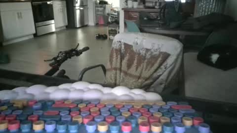 Snapshot of somerandom1109 chatting on 03-25-26, 12:22 somerandom1109 online show from 03-25-26, 12:22