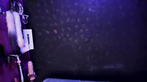 Alexa online show from 02-27-25, 11:48