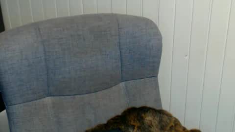 Snapshot of sonjairene chatting on 01-08-25, 03:51 sonjairene online show from 01-08-25, 03:51