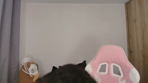 Sophia Storm online show from 05-15-26, 10:50