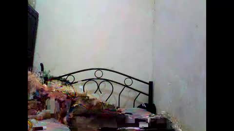 sophialaurel online show from 10-01-25, 06:52