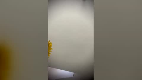 sophie_smith19 online show from 03-15-26, 12:55