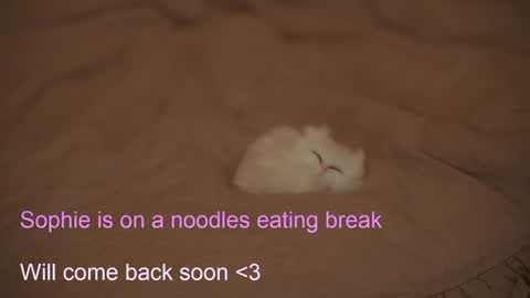 Sophie  Next stream  3 online show from 02-06-25, 07:40