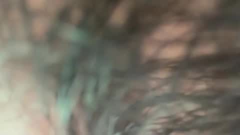 soprettyithurts69 online show from 11-10-25, 03:33