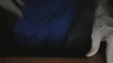 ScorpioKobra online show from 11-22-25, 05:17