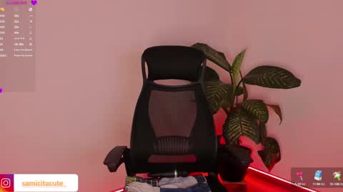 Sami Diaz   online show from 12-07-24, 08:44