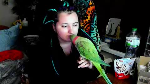 Evgenia online show from 06-05-26, 09:53