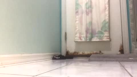 speedforbenji19 online show from 03-12-25, 01:58