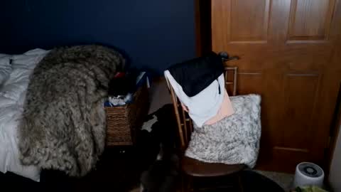 Snapshot of spun_redneck chatting on 03-31-26, 09:21 Spun Redneck online show from 03-31-26, 09:21