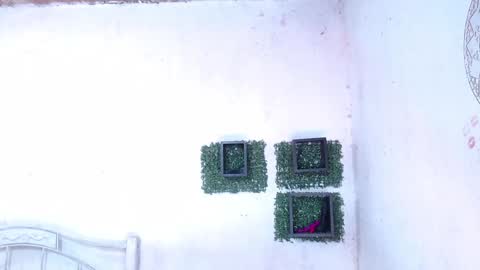 valeria online show from 01-25-25, 12:17