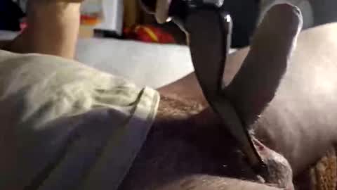 Snapshot of srb543 chatting on 12-16-25, 09:09 srb543 online show from 12-16-25, 09:09