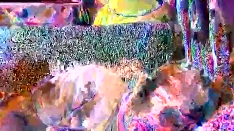 srekos38 online show from 04-11-26, 08:40