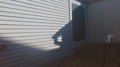 srtxshow online show from 02-09-26, 03:16