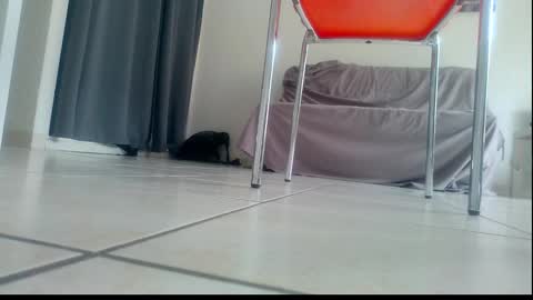 ssenzo online show from 12-21-25, 02:13