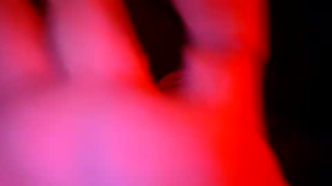 stallion_bear online show from 07-05-26, 04:25