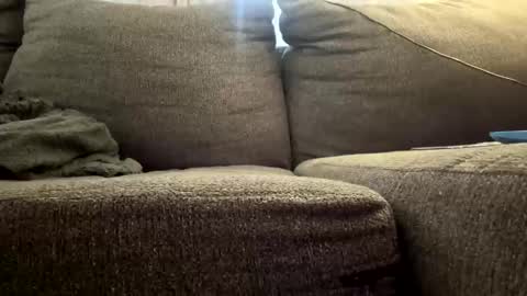 Snapshot of starr3095 chatting on 12-03-25, 03:10 starr3095 online show from 12-03-25, 03:10