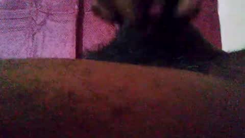 stebel666185 online show from 09-22-25, 01:24