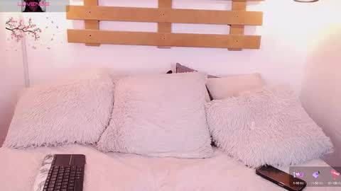 Steev online show from 02-02-25, 10:24