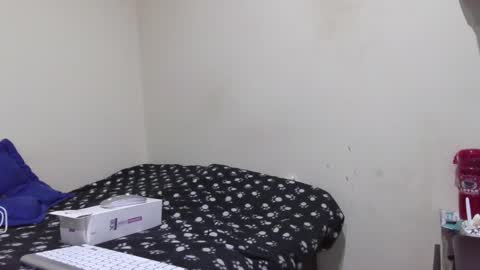 STEFANA online show from 11-30-25, 05:44