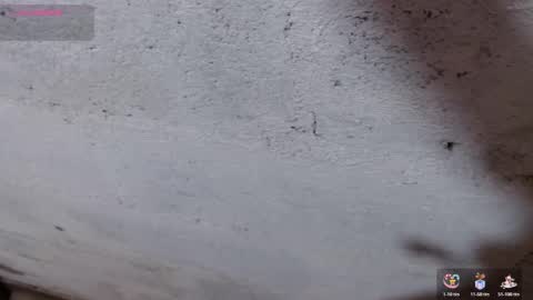 Snapshot of stefany_pablo1 chatting on 11-01-25, 12:51 stefany_pablo1 online show from 11-01-25, 12:51