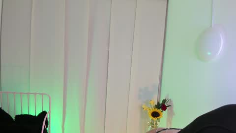 Snapshot of steffy_dan chatting on 01-06-25, 06:58 Steffy online show from 01-06-25, 06:58