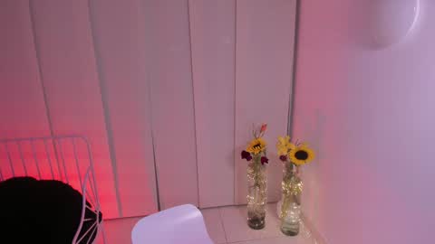 Snapshot of steffy_dan chatting on 02-05-25, 03:34 Steffy online show from 02-05-25, 03:34