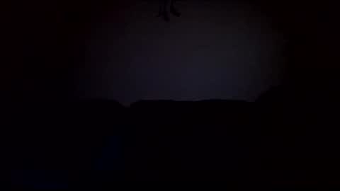 stefy1037 online show from 02-19-25, 06:55