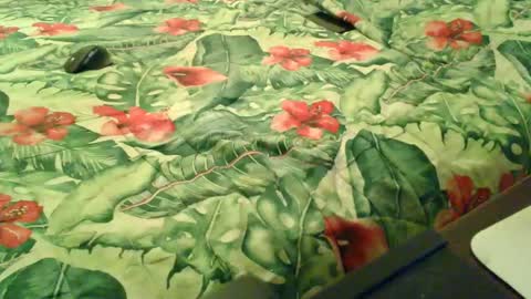 Snapshot of stel7621 chatting on 12-18-25, 06:58 Rocco-load online show from 12-18-25, 06:58