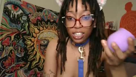 stellakobra online show from 01-07-26, 11:18