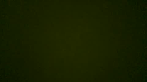 Snapshot of stensurfarn chatting on 05-26-26, 08:10 stensurfarn online show from 05-26-26, 08:10