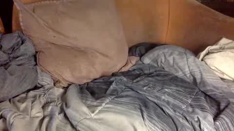 STEVE CASHMASTER 1comedia online show from 02-20-25, 04:14