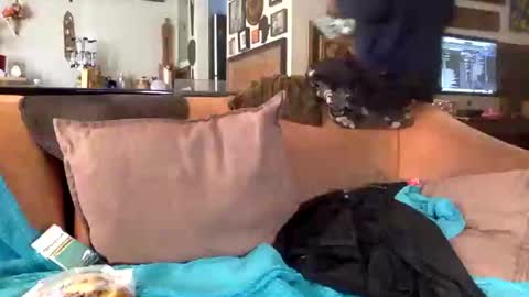 STEVE CASHMASTER 1comedia online show from 02-25-25, 08:51