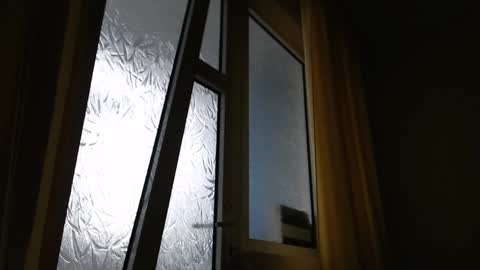 Snapshot of stevenbradley2017 chatting on 12-28-24, 12:35 Steven online show from 12-28-24, 12:35