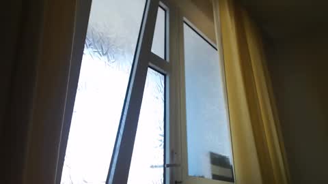 Snapshot of stevenbradley2017 chatting on 03-05-25, 01:06 Steven online show from 03-05-25, 01:06