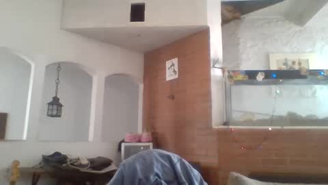 stevenson988 online show from 12-26-24, 06:12