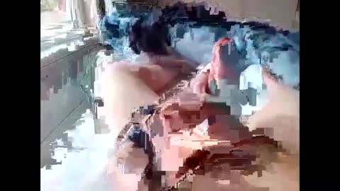 stevie_y19 online show from 02-14-25, 09:34