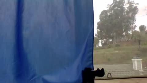 steviehard7 online show from 03-11-25, 04:51