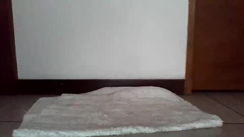 stgo2000caliente online show from 02-18-25, 03:54