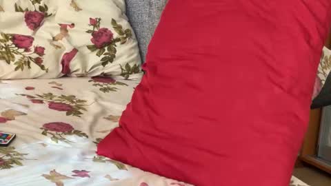 Chris online show from 09-15-25, 07:52