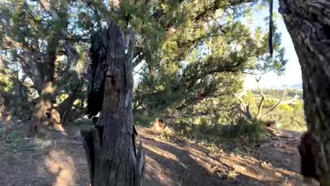 Stag online show from 10-06-25, 11:46