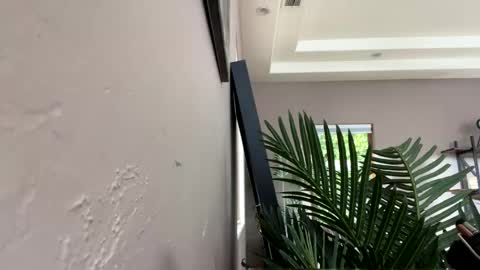 Ruby Moon online show from 12-11-24, 05:59