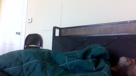 strictdaddy13 online show from 02-21-25, 02:38