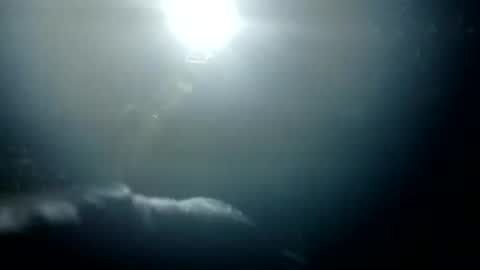 Bigdickdugan online show from 01-26-25, 01:36